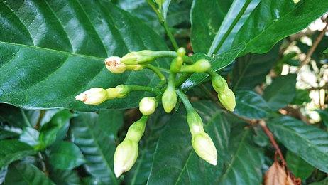 生存跑酷游戏《逃离那落迦》首发支持DLSS及光追