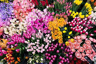 英伟达预测DLSS 10：提供完整神经渲染 画面更精美